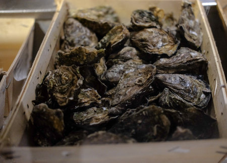 A closeup shot of a box filled with oystersの写真素材