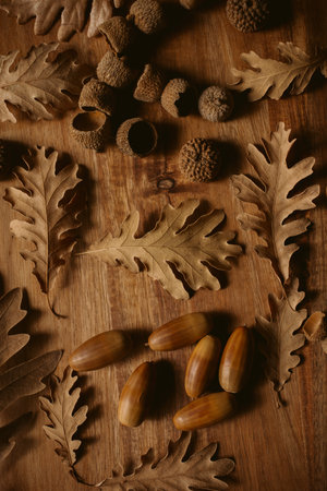 A vertical autumnal background with oak dry leaves, acorns and separate cupules on a wooden tableの写真素材