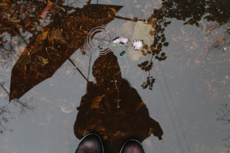 A top view of the silhouette of a person holding an umbrella reflected on the puddle of autumn leavesの写真素材