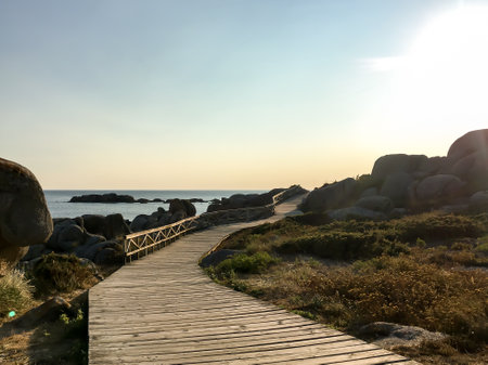 A wooden sidewalk on a beachの写真素材