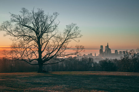 A beautiful shot of a sunset view on a field with a tree and buildings in the distanceの写真素材