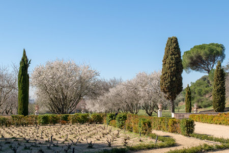 A landscape of the garden of Quinta del Duque del Arco under a blue sky in Spaの写真素材
