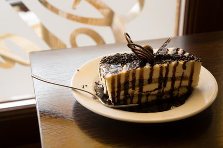 Tiramisu dessert served on white plateの写真素材