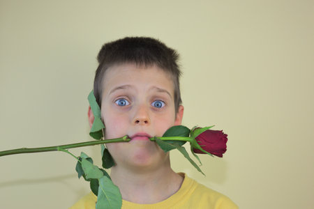 A confused cute caucasian kid an red rose in his mouthの写真素材