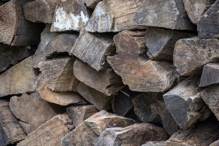 A stack of fire woodの写真素材