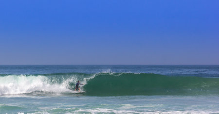 A beautiful shot of a surfer on a low wave