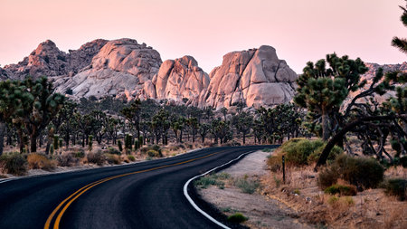 A scenic view of the Joshua Tree National Park during sunset, California, USAの写真素材