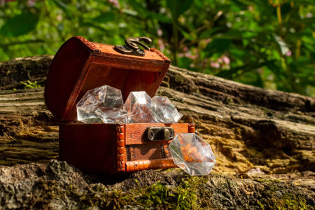 A closeup of an open wooden box on a log in a forest, filled with diamondsの写真素材