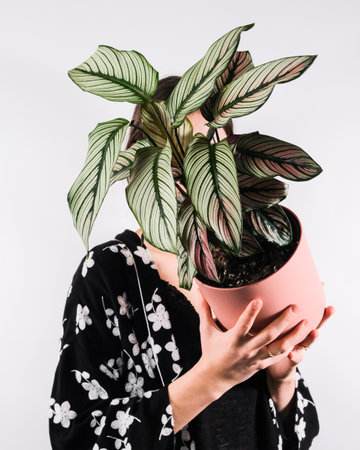 A vertical shot of a female holding a potted plantの写真素材