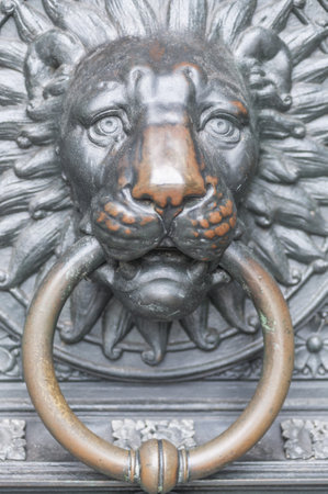 A vertical shot of a metal lion head door knocker in Cologne, Germany
