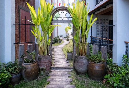View of a typical Thai garden, Chiang Mai Thailand.の写真素材