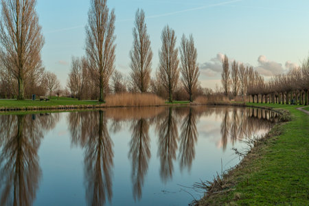A mesmerizing view of a beautiful calm lake with a view of trees reflecting on itの写真素材