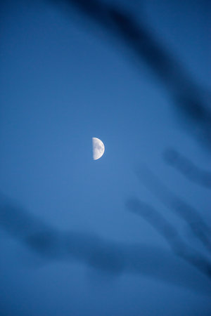 A vertical shot of the half-moon in a clear skyの写真素材
