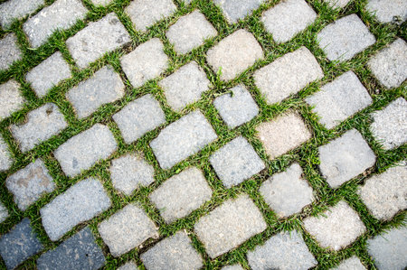 A closeup top down view of stone paved street with patches of grassの写真素材