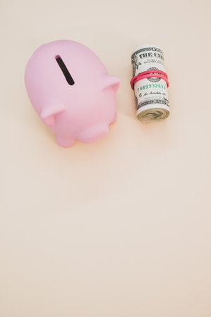 A vertical shot of a piggy bank from above with rolled up dollars next to itの写真素材