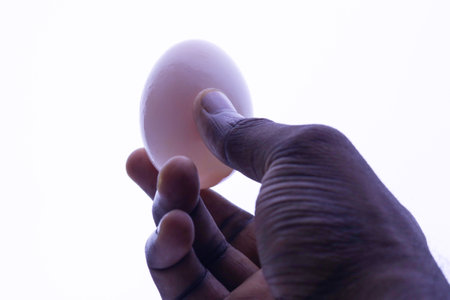 A male hand holding a chicken egg  in the bright background