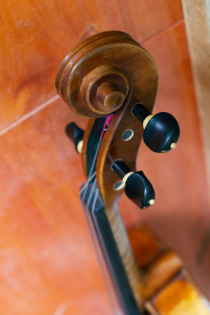 A vertical closeup shot of a violin scroll with pegbox and pegs visible belowの写真素材