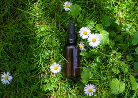An overhead shot of essential oil dropper bottle on a grassy field with daisy flowersの写真素材