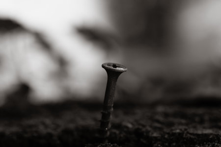 A selective focus shot of a nail in the groundの写真素材