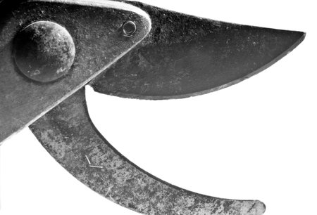 A closeup shot of an industrial knife on an isolated backgroundの写真素材