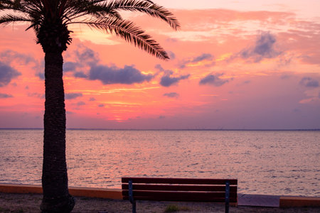 The Tampa Bay during a scenic sunset in Florida, the USAの写真素材