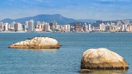 A closeup shot of birds sitting on a rock in the north bay in Florianopolis, Brazilの写真素材