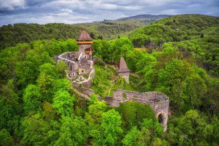 An aerial view of an old castle surrounded by trees on a hill in Ukraine