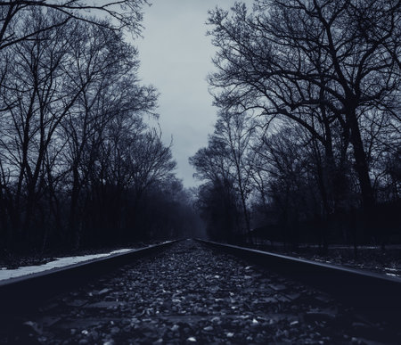 A dramatic and moody shot of a straight country road in the woods during winter