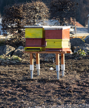 A closeup of bee hive boxes on a stand at a farm