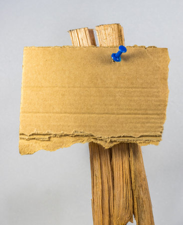 A piece of cardboard fastened to a wooden board by a drawing pinの写真素材