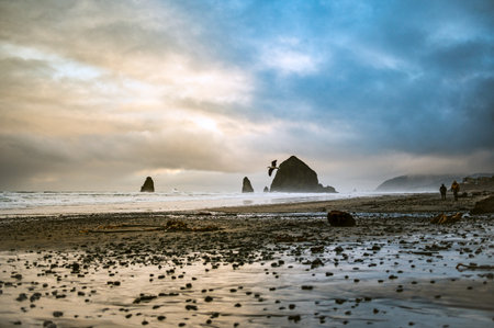 A beautiful shot of the Cannon beach at sunriseの写真素材
