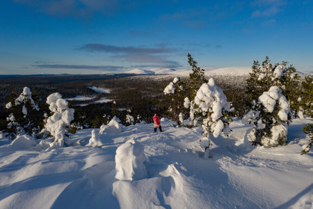Aerial drone view over Santa looking towards the Pallastunturi fells, in winter forests of Lapland, Finlandの写真素材