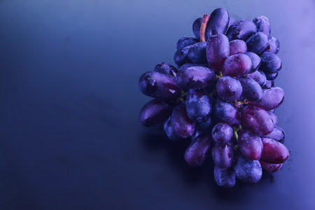 A cluster of Cabernet Sauvignon black grapes isolated on the dark background with copy spaceの写真素材