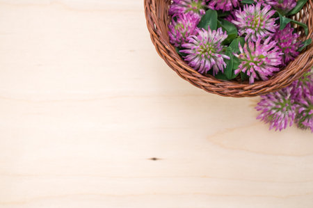 A top view of red clovers in a basket on a wooden surface with space for textの写真素材