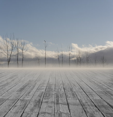 Wintry Landscape of Destiny, Boardwalk At Floor Go to the Distance Treesの写真素材