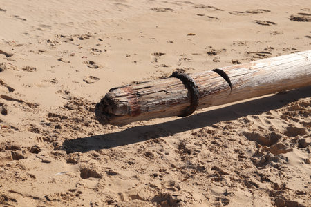 A ship's wooden mast on the beach. Shipwreck concept photo.の写真素材