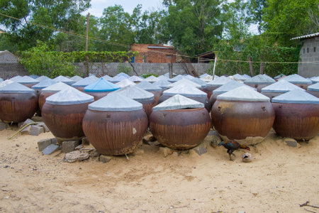 A shot of kimchi jars in village