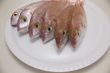 A closeup shot of a bunch of fresh fish on a white plateの写真素材
