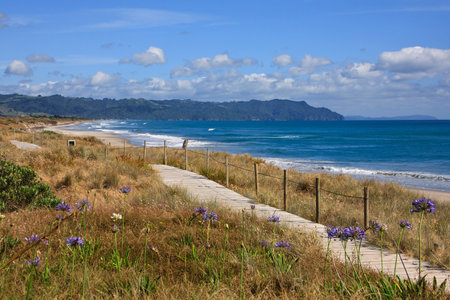 Idyllic sand beach on Coromandel peninsula in New Zealandの写真素材