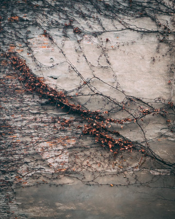A vertical shot of chains and branches with autumn leavesの写真素材