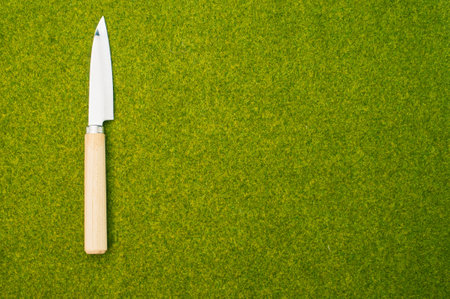 A top view shot of a kitchen knife with a wooden end on a green grass surfaceの写真素材