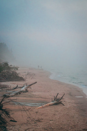 A vertical shot of a seashore with wood and dirt on the beach on a cold and rainy dayの写真素材