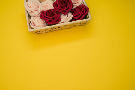 Beautiful red and white roses in a box isolated on a yellow backgroundの写真素材