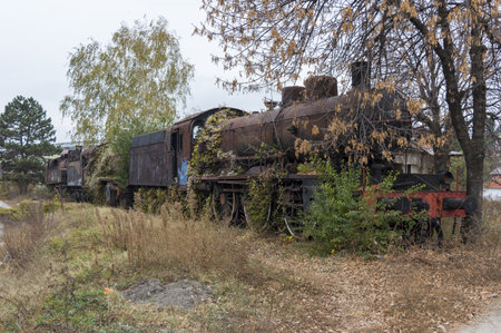 An old rusty steam locomotive covered in plants