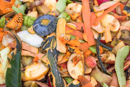 A closeup shot of scraps of vegetable and fruit peels for composting