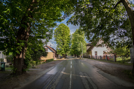 An asphalt road amid houses and green treesの写真素材