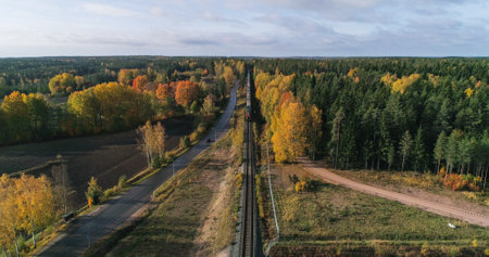 Aerial drone view a long cargo train, driving in a countryside, foliage forest, sunny evening, in Scandinaviaの写真素材