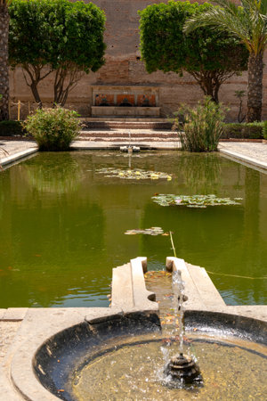 An outdoor fountain with water lilies in the Alcazaba of Almeria, Muslim fortificationの写真素材