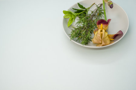 A closeup of a plate with rosemary, greens, and iris flower isolated on white surface for a copy spaceの写真素材