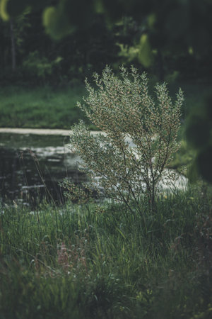 A vertical shot of a lake surrounded by beautiful greeneryの写真素材